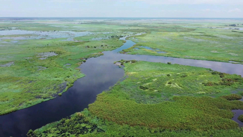 Zambezi Queen Zambezi Queen: Chobe River Aerial