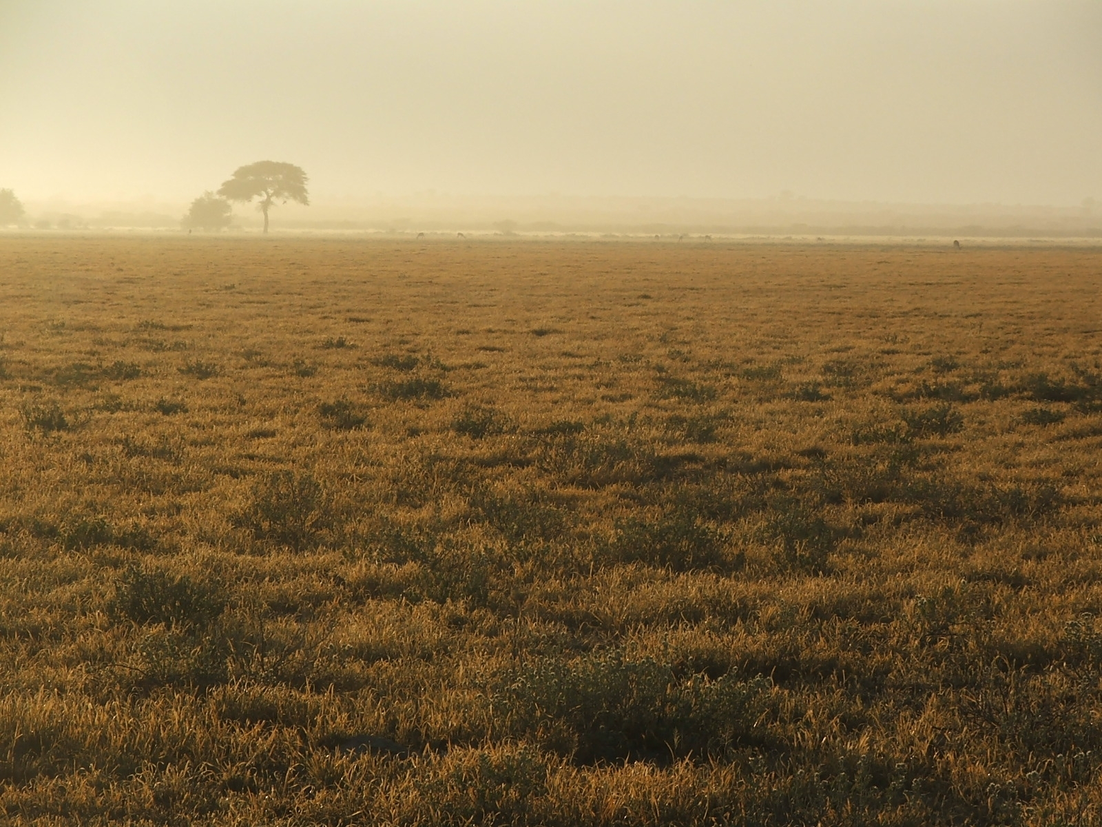 Deception Valley Deception Valley