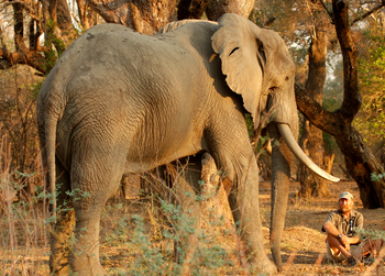 Goliath Tented Camp Goliath Tented Camp: Stretch Ferreira mit altem Bekannten