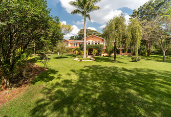 House of Waine: Rasen