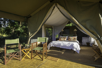 John's Camp John's Camp: Gästezelt - Interieur