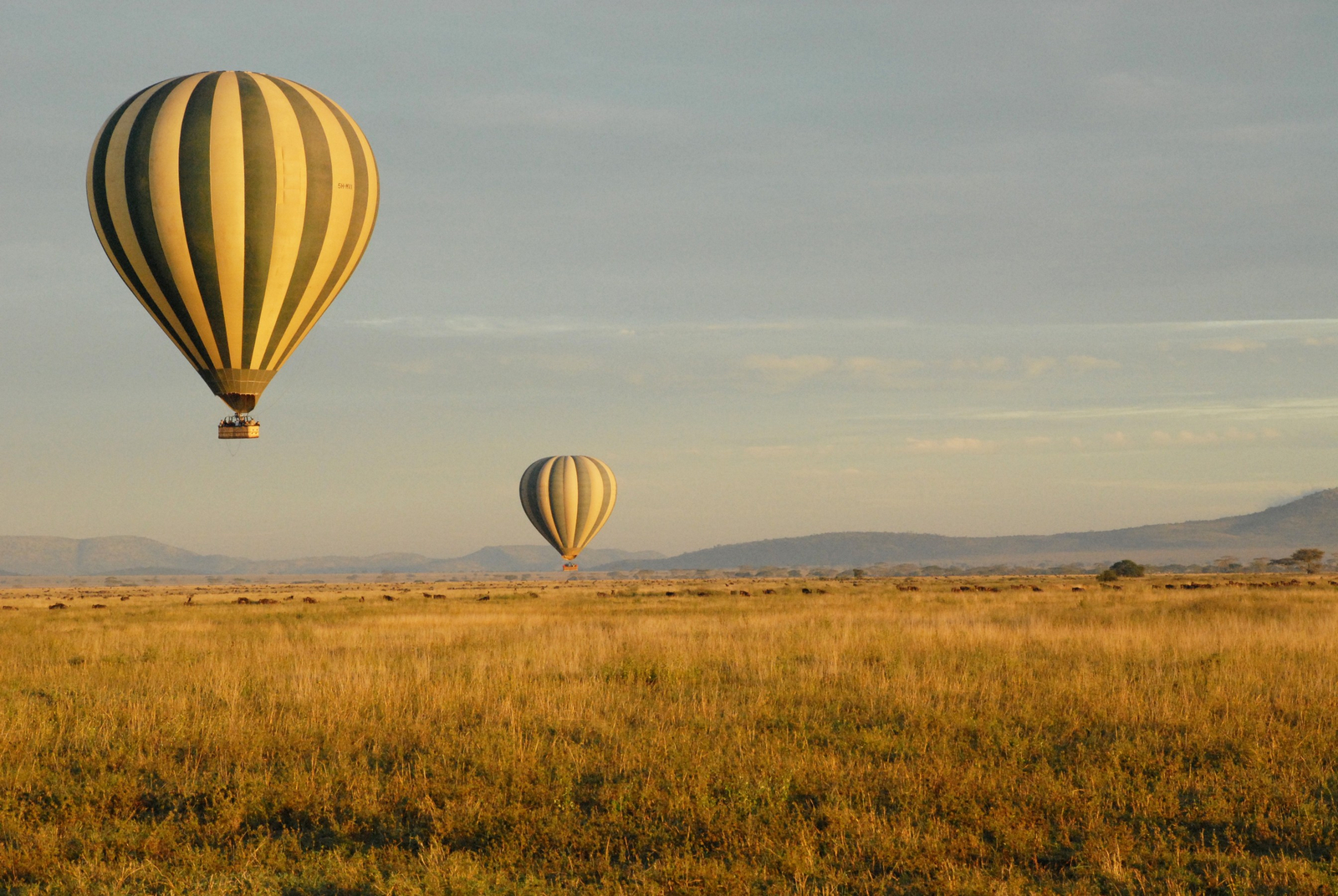 Legendary Songa Migrational Camp Legendary Songa Migrational Camp: Heißluftballons