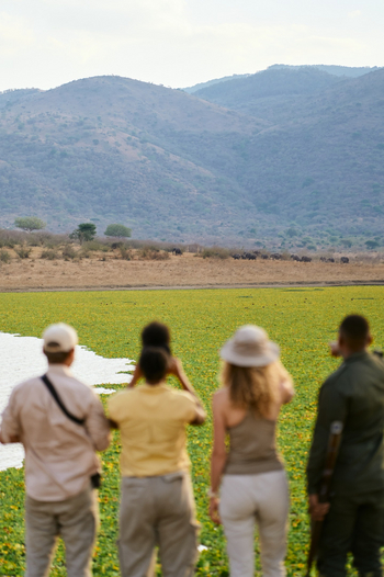 Mkomazi Wilderness Retreat: Gäste und Ranger blicken auf Elefantenherde