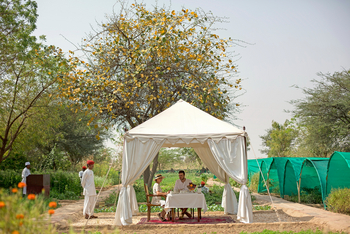 Sujan The Serai: Privates Mittagessen im Garten