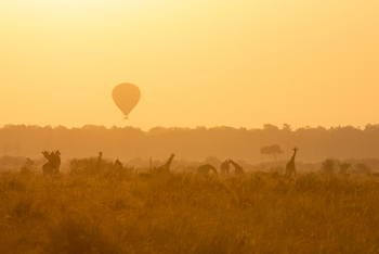 Angama Mara: Heißluftballon und Giraffen