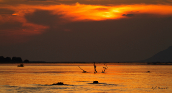 Classic Zambia Safaris Classic Zambia Safaris: Landschaft