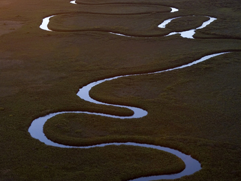 Duba Plains Camp: Flussschleifen