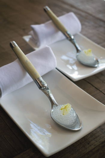 Duba Plains Camp: Sorbet