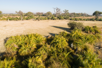 Kala Camp: Walking Safari