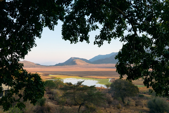 Mkomazi Wilderness Retreat: Naturrahmen mit Wasserloch und goldenen Ebenen