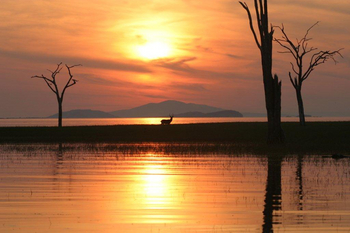 Musango Safari Camp: Abendstimmung am Kariba-See