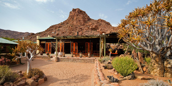 Namtib Desert Lodge: Kööcherbäume auf dem Areal