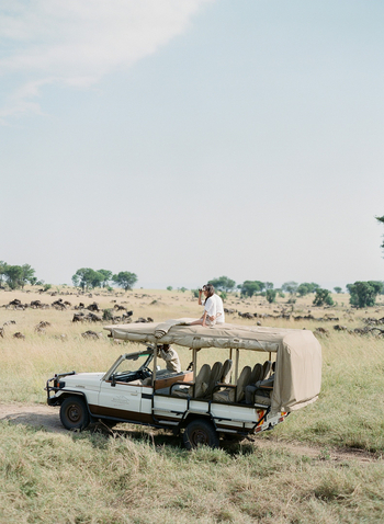 Serengeti Bushtops: Game Drive