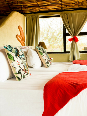 Ugab Terrace Lodge: Kissen