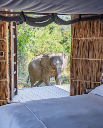 Chinzombo Camp Chinzombo Camp: Luxury Safari Tent