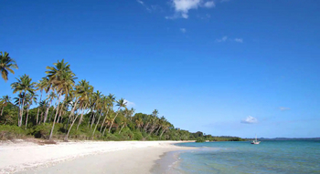 Fundu Lagoon: Strand