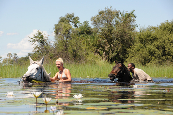 Macatoo Camp: Schwimmende Pferde