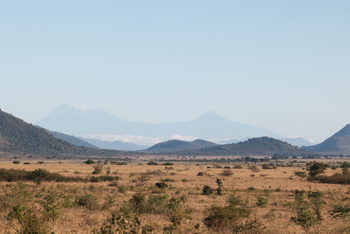 Mkomazi Wilderness Retreat: Goldene Savanne vor schneebedecktem Kilimandscharo