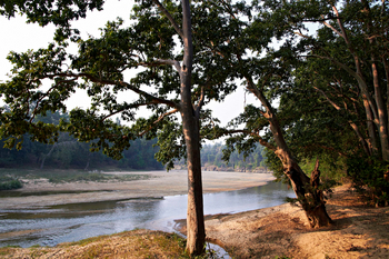 Samode Safari Lodge Samode Safari Lodge: Flussufer