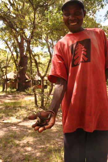 Wasa Lodge: Mann vom Service mit Schlange