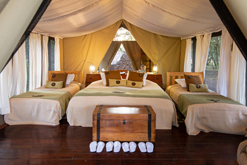 Karen Blixen Camp: Luxury Tent - Doppel 2 x Einzel