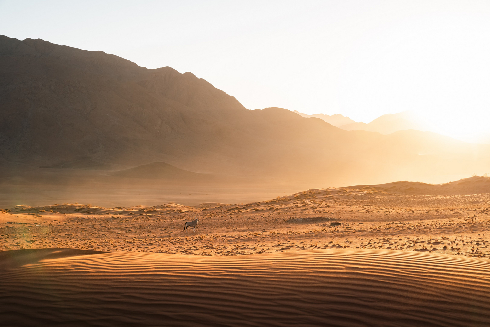 Wolwedans Desert Lodge Wolwedans Desert Lodge: Berge und Dünen