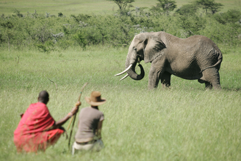 Naboisho Camp: Walking Safari