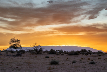 Ondjamba Hills: Brandberg