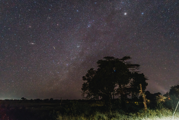 Porini Rhino Camp: Sternenhimmel