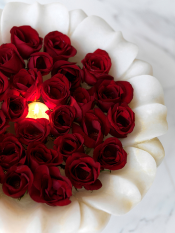 Rambagh Palace: Details