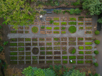 Rivertrees Country Inn: Gemüsegarten