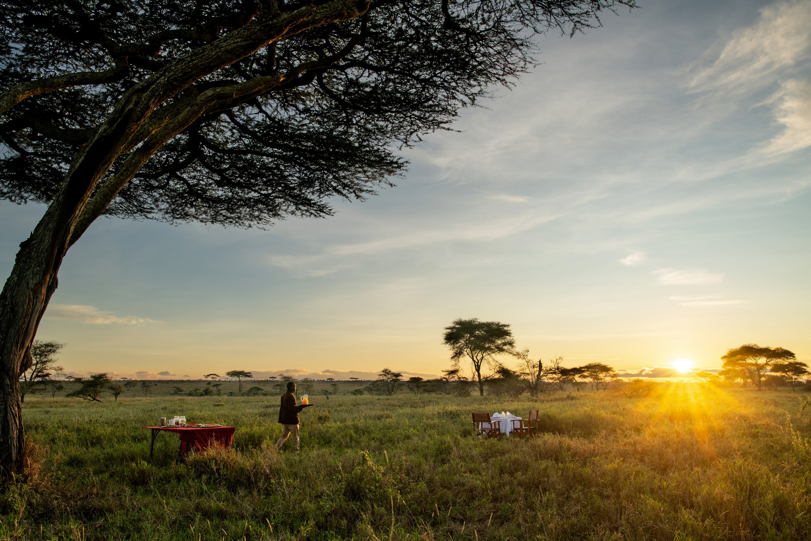 Serengeti Sametu Camp Serengeti Sametu Camp: Frühstück bei Sonnenaufgang