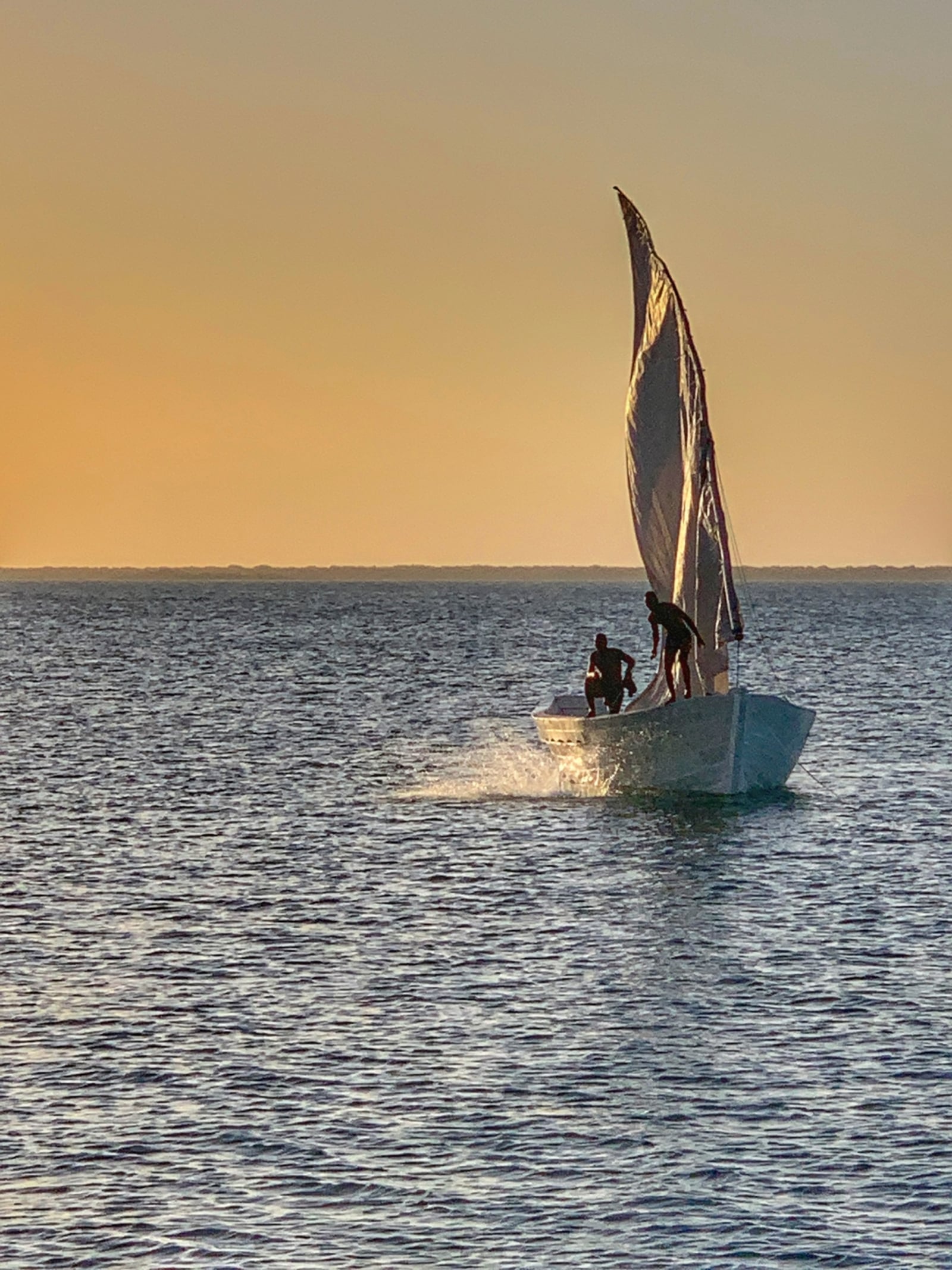 Sussurro Sussurro: Segeltour