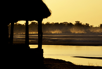 Tafika Camp: Büffel im Gegenlicht
