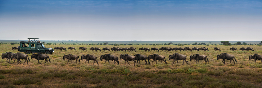 andBeyond Serengeti under Canvas