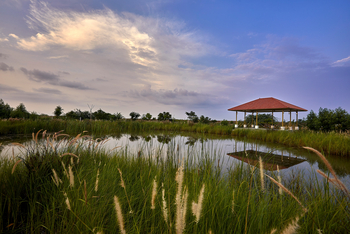 Blackbuck Safari Lodge: Gazebo am Teich