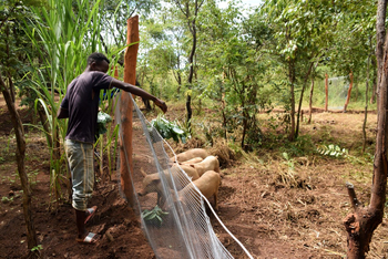 Chisa Busanga Camp Chisa Busanga Camp: Community Farm