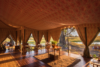 Duke's Camp: Sonne im Camp