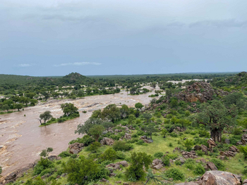Koro River Camp: Limpopo-Hochwasser