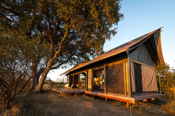 Linkwasha Camp Linkwasha Camp: Gästezelt im Nachmittagslicht