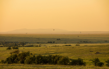 Mara Toto Tree Camp: Heißluftballonfahrt