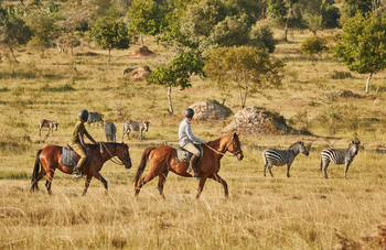 Mihingo Lodge: Reiten
