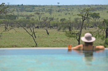Naboisho Camp: Savanne vor dem Pool