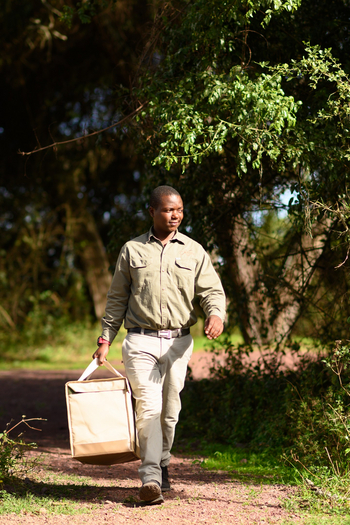 Ngorongoro Lion's Paw: Guide mit Getränkekiste