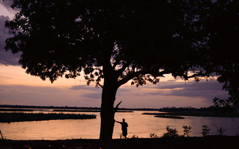 Potato Bush Camp: Dämmerung