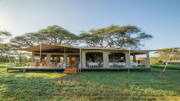 Roving Bushtops Camp: Gesamtansicht