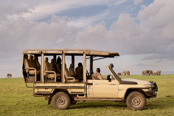 Sanctuary Tambarare Camp: Elefantenherde beim Game Drive