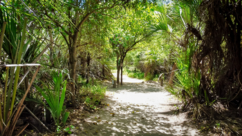 Semowi Nature Camp: Zuweg