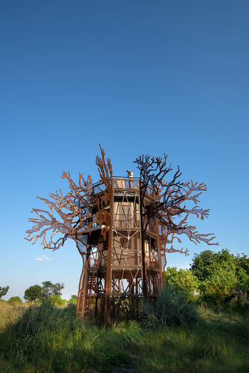 Xigera Safari Lodge Xigera Safari Lodge: Baobab Treehouse