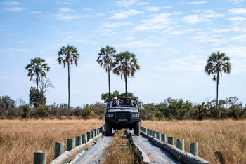 Abu Camp Abu Camp: Brücke